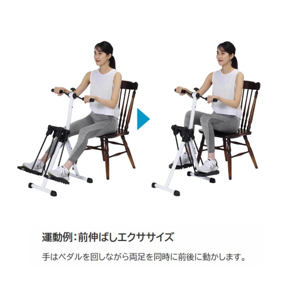 アルインコ フィットネスマシン 座りながら運動 スイングアームサイクル エクササイズ 全身運動 初心者 カンタン ながら運動 スイングアームサイクル ALINCO | ALINCO | 06