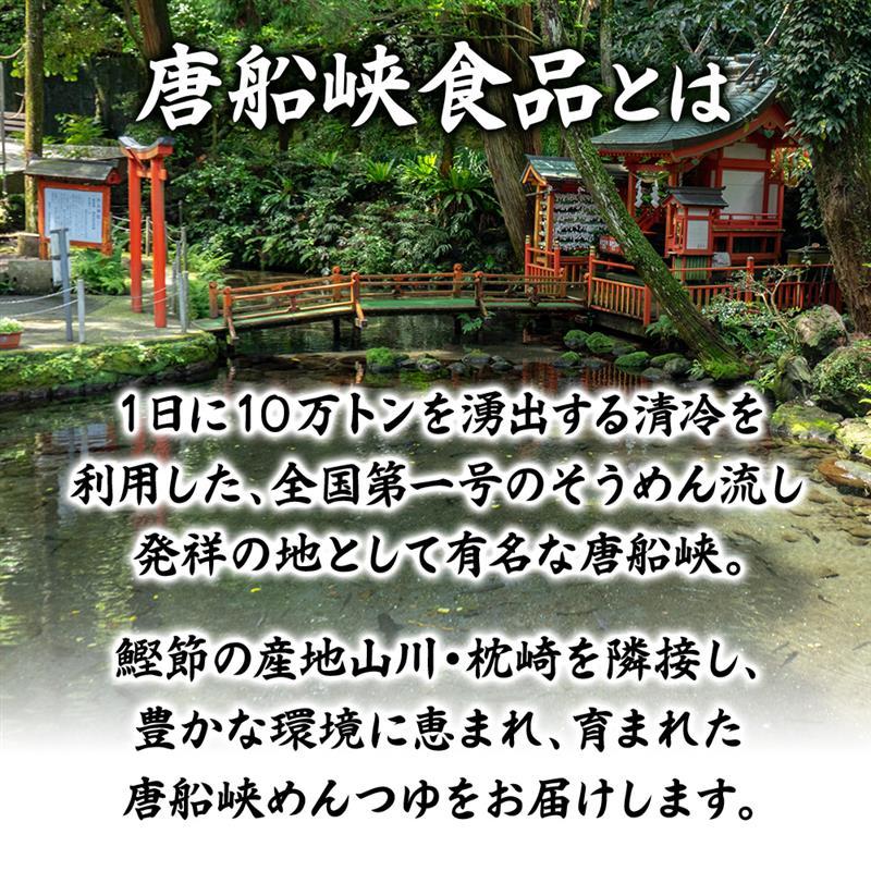 (まとめ買いがお得！4本3450円) 唐船峡 めんつゆ 1L 麺つゆ ストレート そうめん うどん つゆ 鍋 煮物 調味料 鹿児島県産 涼味唐船峡めんつゆ 1リットル 天つゆ | ブランド登録なし | 02