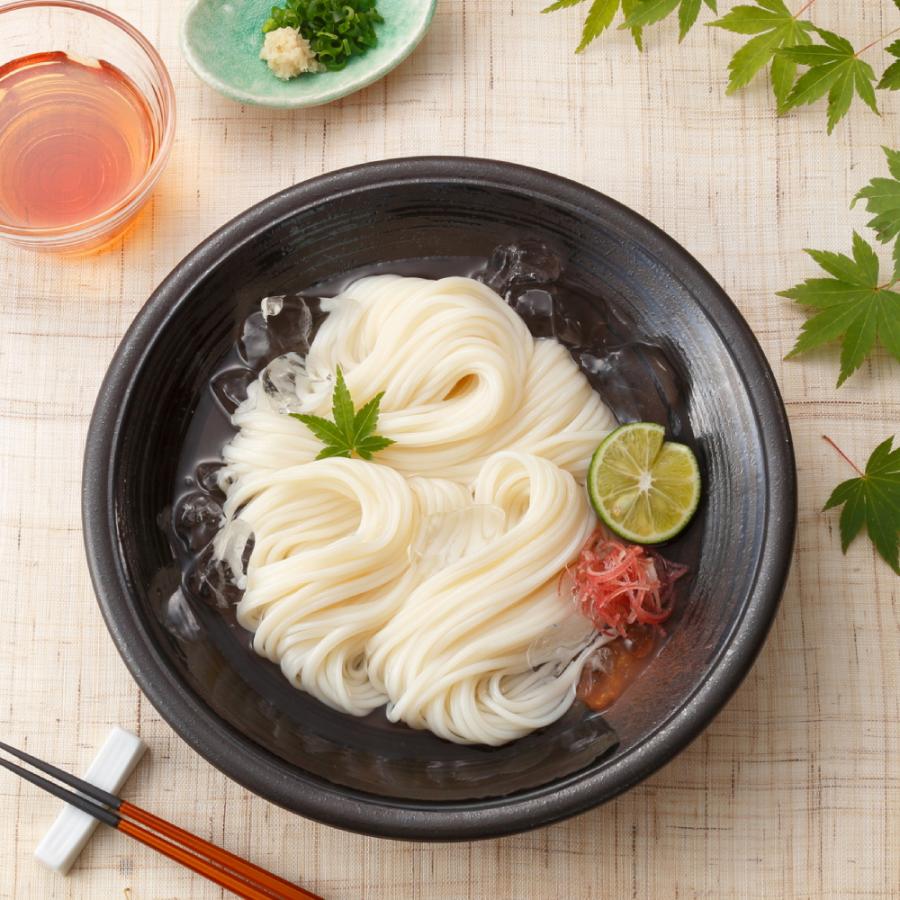 2袋セット 送料無料 讃岐物産 プレミアム半田手延素麺 540g 6人前 そうめん 素麺 手延べそうめん 手延べ素麺 手延素麺 半田 爆買 | 讃岐物産 | 02