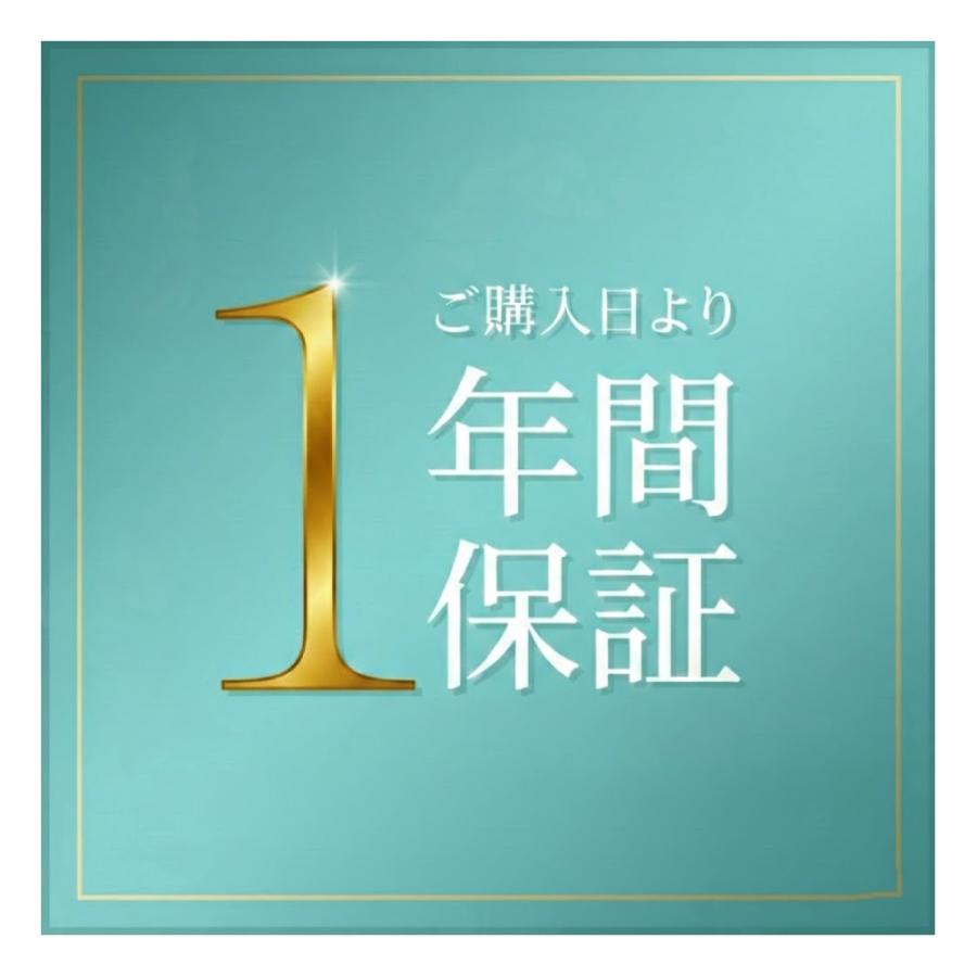 （1年保証） ジューサー ミキサー 小型 野菜ジュース 洗いやすい コンパクト 野菜 果物 100 健康習慣 野菜 NR-K-BD4-R NR-K-BD4-GR ラドンナ | LADONNA | 11
