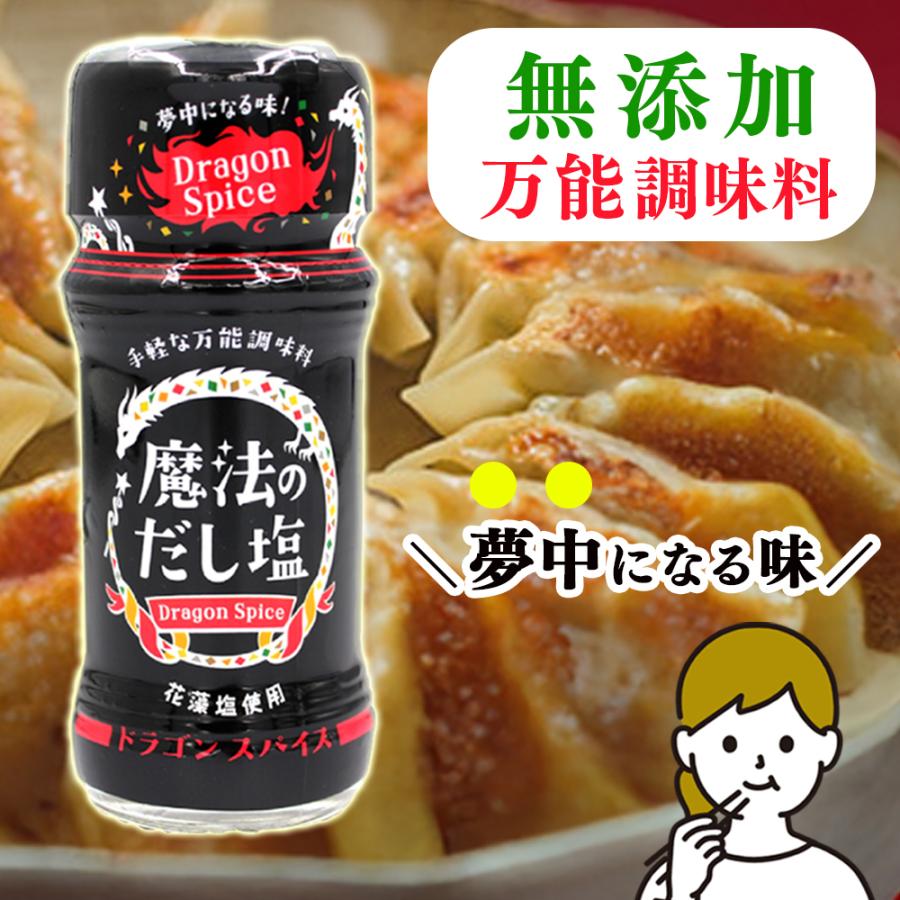 （在庫限り！特別特価） スパイス 調味料 魔法のだし塩 ドラゴンスパイス 285g スパイスミックス  国産 化学調味料無添加 無添加 万能調味料 ステーキ 味付け | 白松
