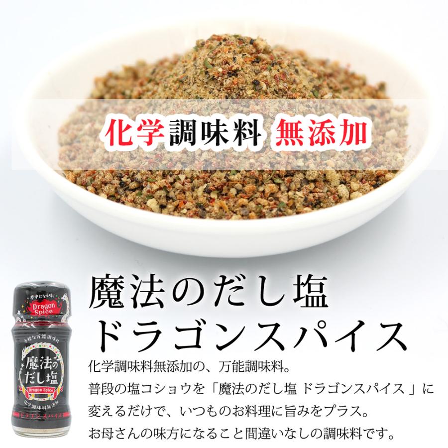 調味料 白松 （在庫限り！年末特価） スパイス 調味料 魔法のだし塩 ドラゴン