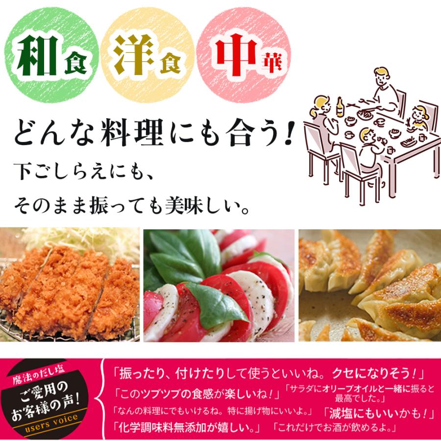 （在庫限り！特別特価） スパイス 調味料 魔法のだし塩 ドラゴンスパイス 285g スパイスミックス  国産 化学調味料無添加 無添加 万能調味料 ステーキ 味付け | 白松 | 06