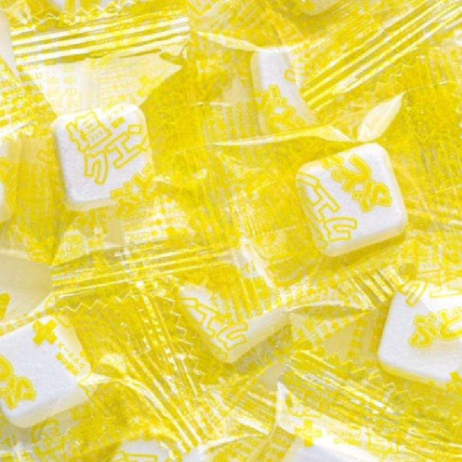 ブドウ糖 ぶどう糖 タブレット 塩 クエン酸 塩クエン酸 1袋296円の10袋セットがお得 熱中症対策 熱中症 25粒塩クエン酸入りぶどう糖 セット | 大丸本舗 | 01