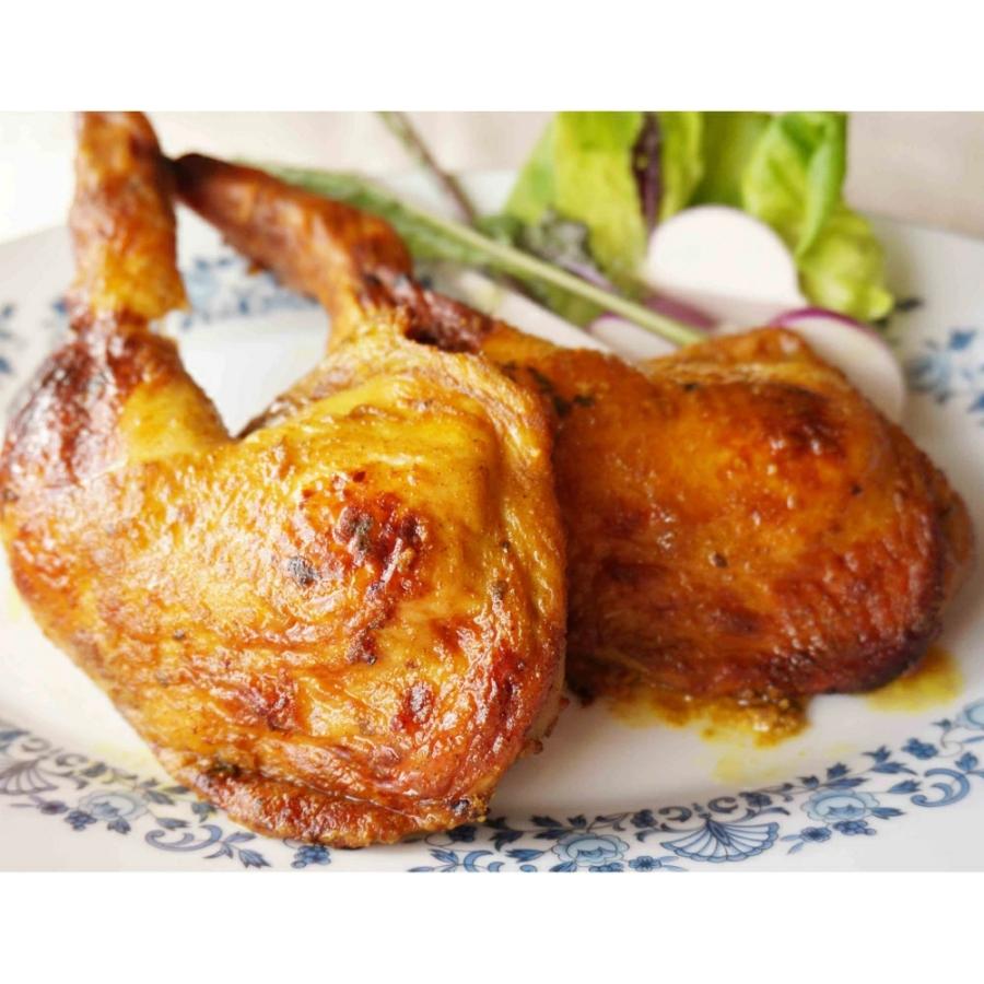 （特別特価！本格派スパイス） 王様のタンドリーチキンスパイス  在庫限り 手軽 香辛料 クリスマス チキン スパイス ターメリック クミン ローリエ パーティ料理 | ブランド登録なし | 08