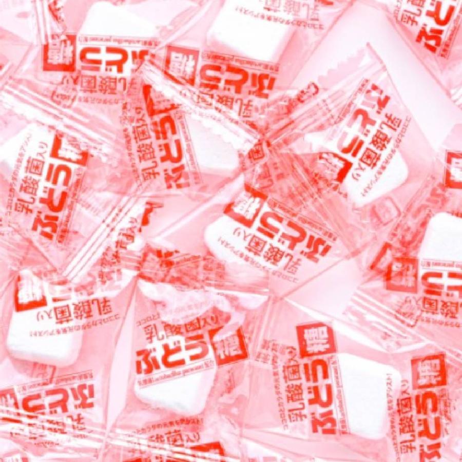 乳酸菌入りぶどう糖 ブドウ糖 タブレット ぶどう糖 乳酸菌 ギフト 大丸本舗 受験生 デスクワーク エネルギー補給 | 大丸本舗 | 01