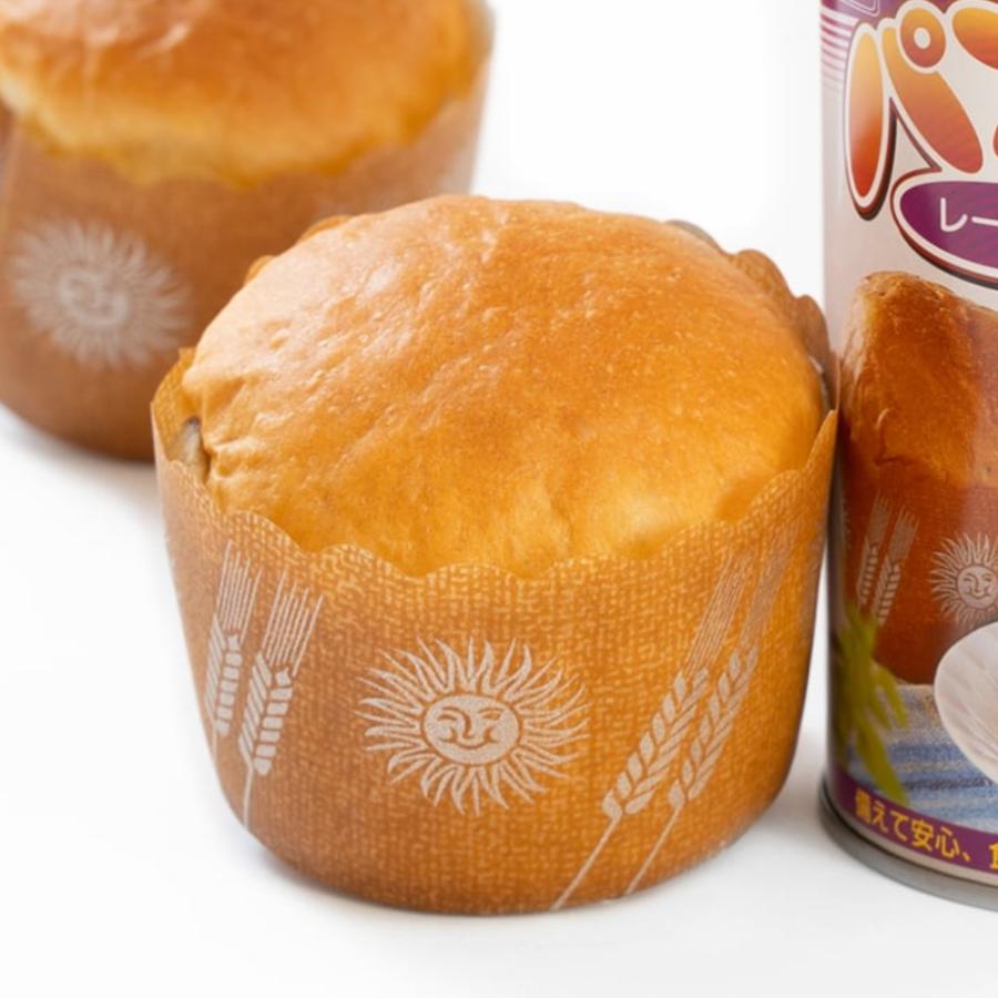 （在庫限り！） パンですよ 非常食 パン レーズン味 缶詰 パンの缶詰 長期保存 保存食 防災 備蓄 菓子パン 防災グッズ 防災用品 災害 地震対策 | ブランド登録なし | 04