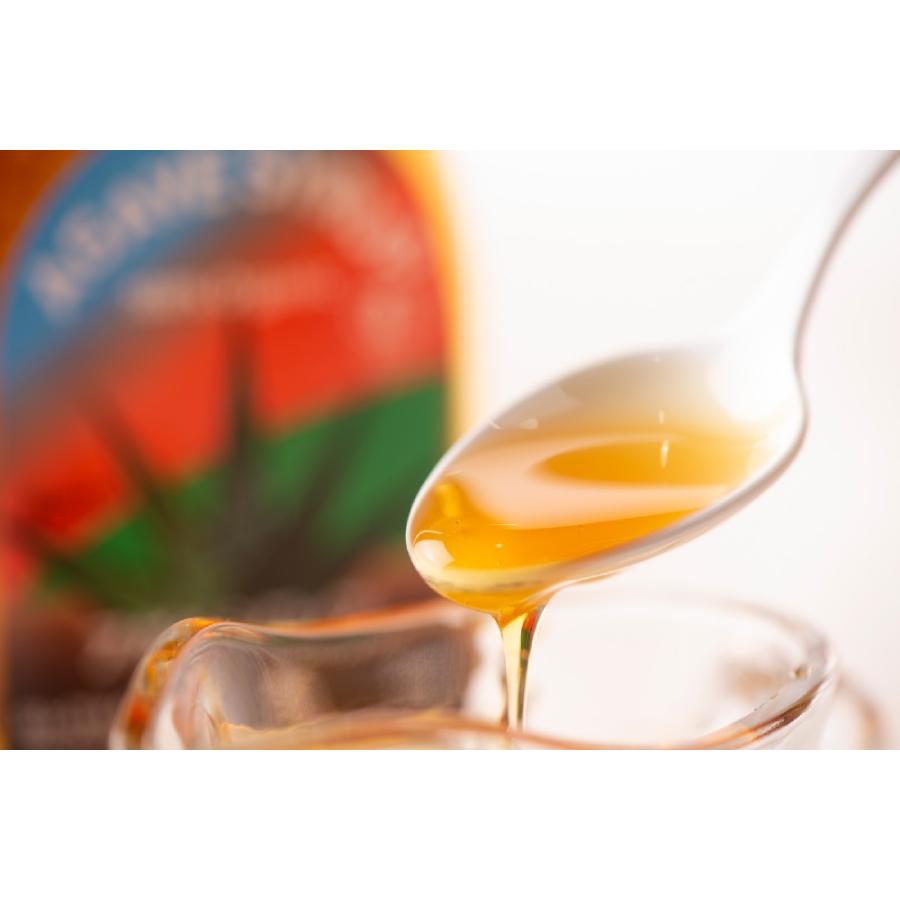 有機アガベシロップ 330g アガベシロップ アガベ シロップ オーガニック ハラル コーシャ ヴィーガン 低GI クインビーガーデン 送料無料 | クインビーガーデン | 02