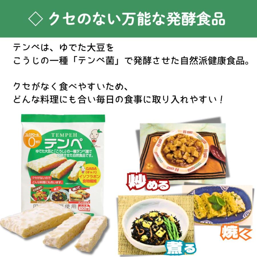 (賞味期限2026年6月22日) テンペ マルシン 大豆 非常食 テンペ菌 タンパク質 インドネシア料理  発酵食品 国産大豆 100％使用 ヴィーガン ベジタリアン 豆 | ブランド登録なし | 01