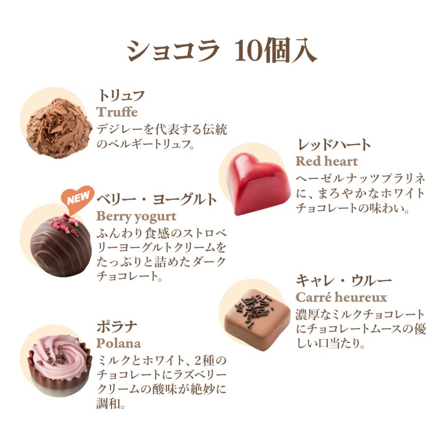 ホワイトデー チョコ 2026 デジレー ショコラ10個入 高級 友チョコ ご