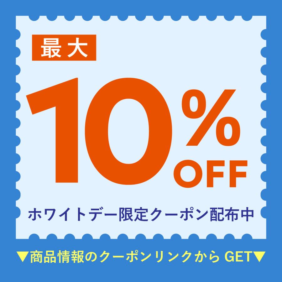 ホワイトデー チョコ 2026 デジレー ショコラ10個入 高級 友チョコ ご