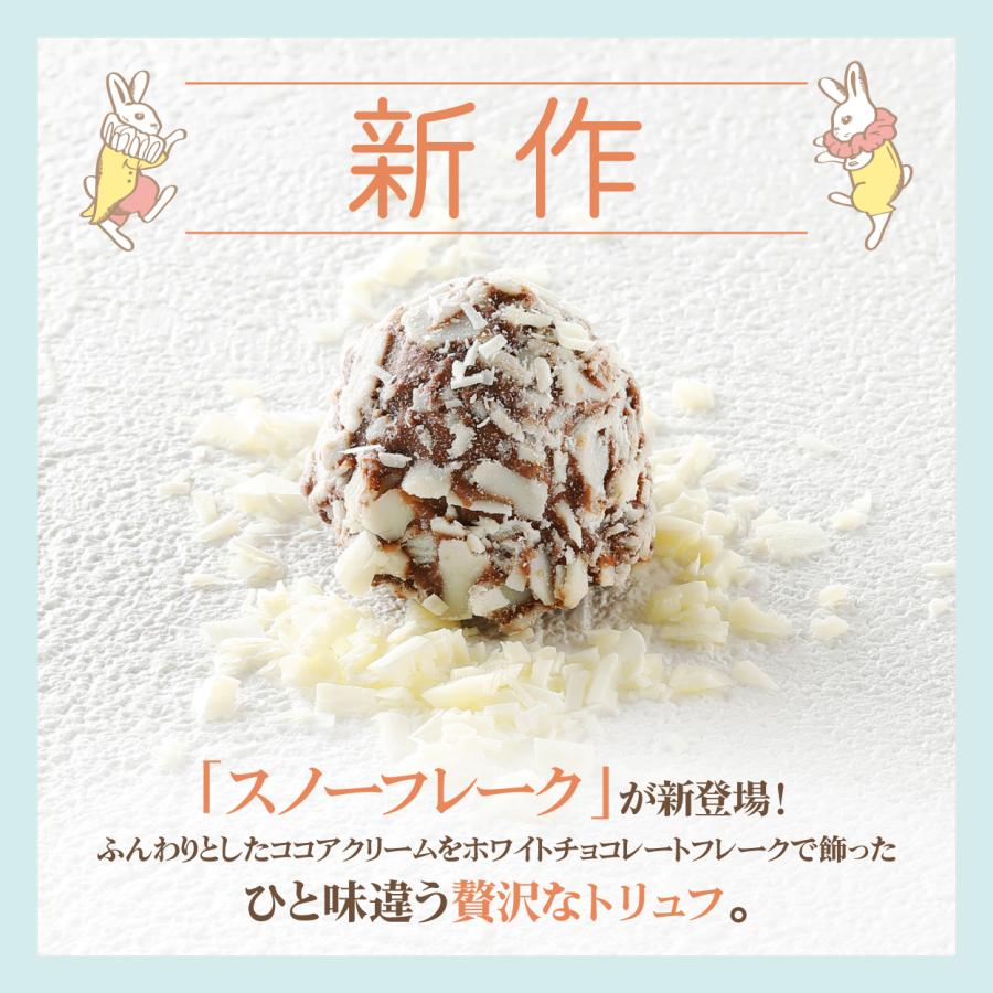 バレンタイン チョコ 2026 デジレー ショコラ10個入 最優秀賞レシピ