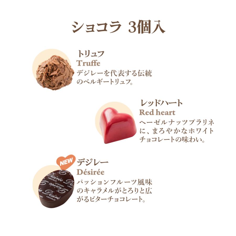 ホワイトデー チョコ 2026 百貨店で連日行列 デジレー ショコラ3個入