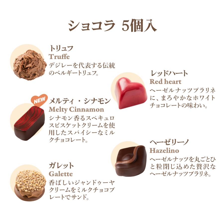 ホワイトデー チョコ 2026 百貨店で即完売！ デジレー ショコラ5個入