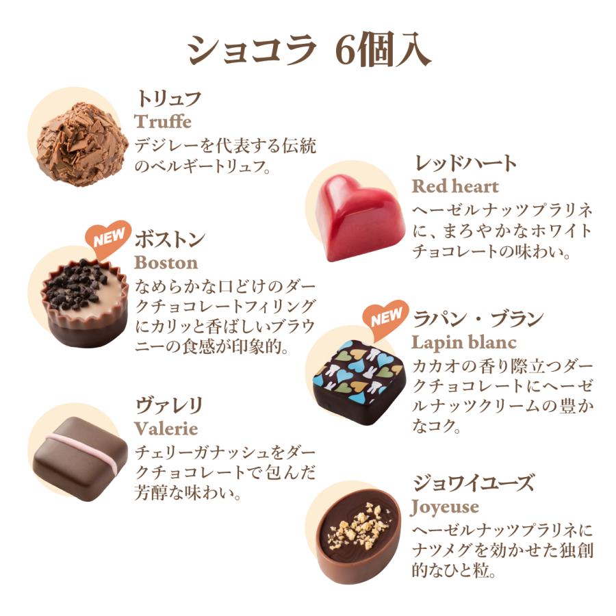 ホワイトデー チョコ 2026 デジレー ショコラ6個入 人気アソート高級