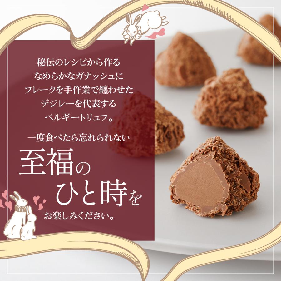 バレンタイン チョコ 2026 デジレー ショコラ＆トリュフ10個入 百貨店