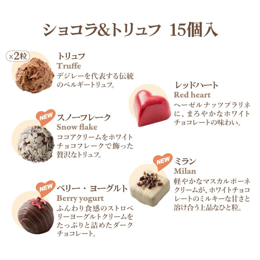 ホワイトデー チョコ 2026 デジレー ショコラ＆トリュフ15個入 高級 友