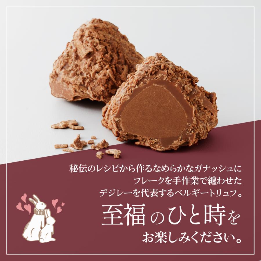 ホワイトデー チョコ 2026 デジレー ショコラ＆トリュフ30個入 友