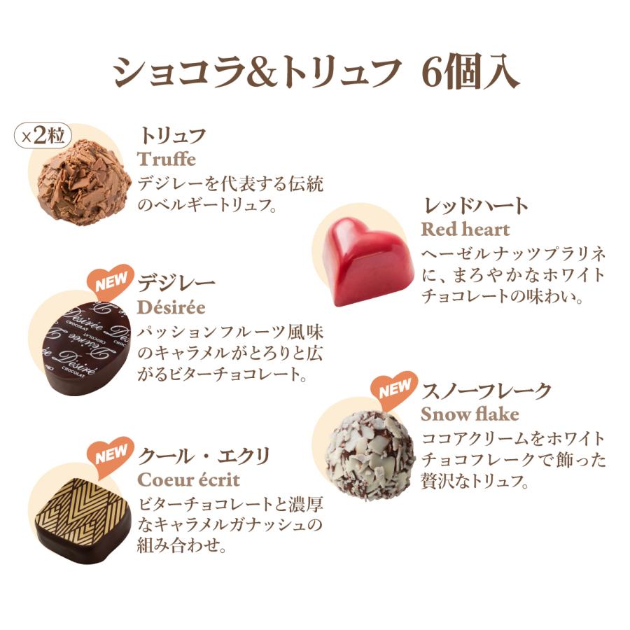 バレンタイン チョコ 2026 デジレー ショコラ＆トリュフ6個入 【特典