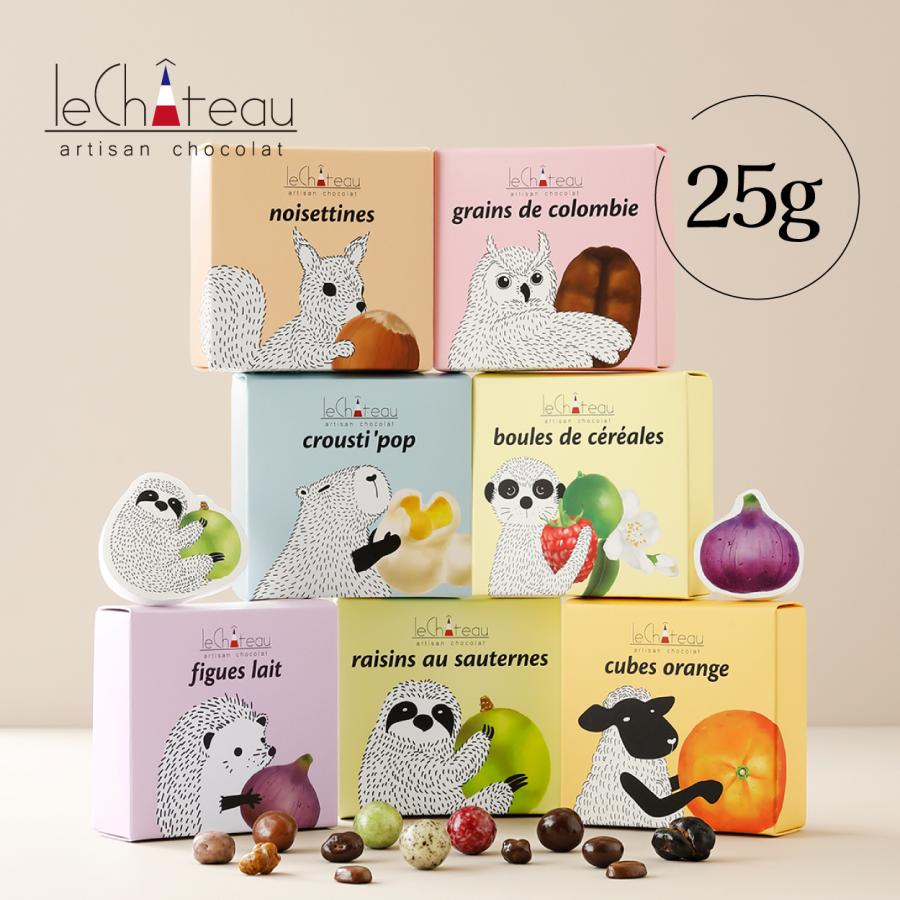 バレンタイン チョコ 2026 ルシャトー25g 世界各国の厳選したフルーツ