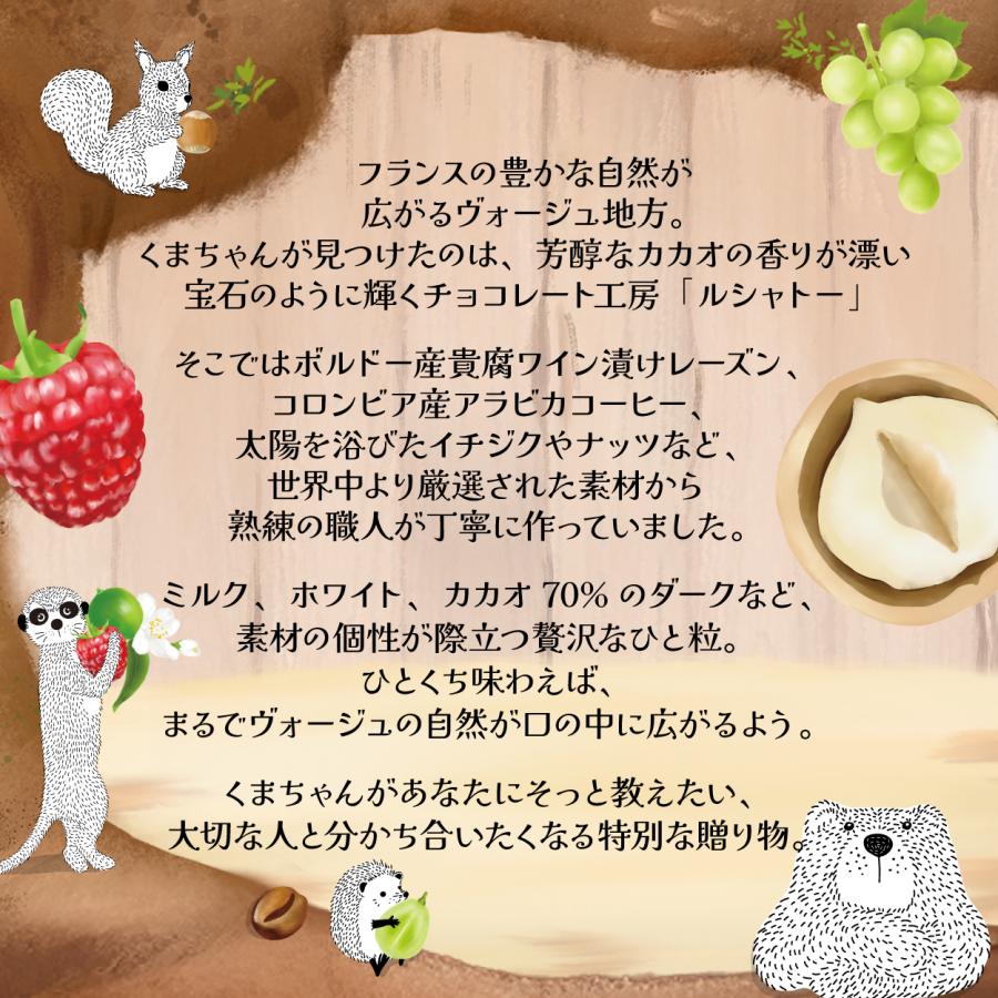 ちょこ様　36本セット DG66 チョコ #2408 ﾁｮｺ×100枚 : パッケージ中澤 | スモールビジネスの