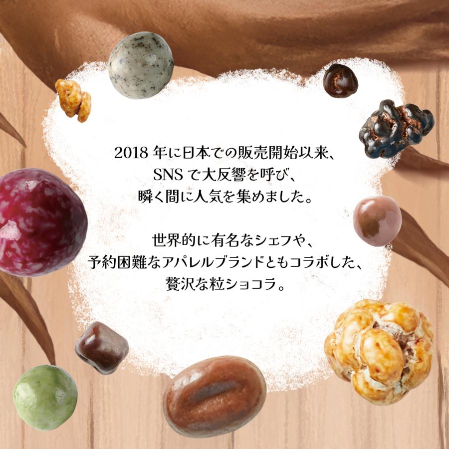 ルシャトー バラエティボックス115g 宝石のように輝くチョコレート