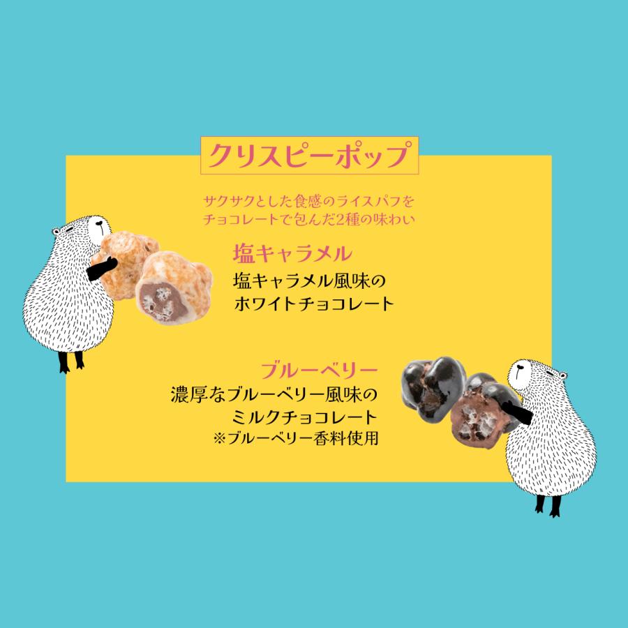 ルシャトー バラエティボックス115g 宝石のように輝くチョコレート