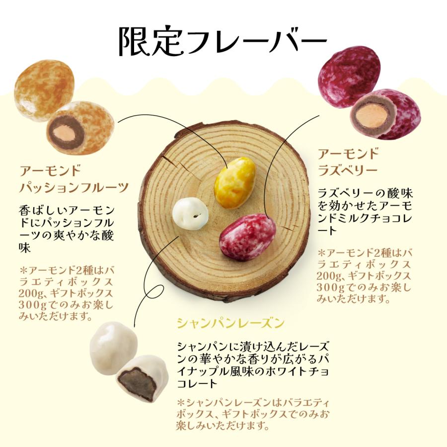 ミニチョコBOX2箱付き/2025 銅釜製法から創り上げる話題の粒 ミニチョコBOX2箱付き/2025 銅釜製法から創り上げる話題の粒