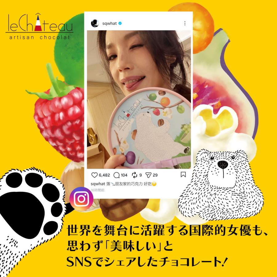 貴腐ワイン漬けレーズンなど ルシャトー(計4箱セット+ミニチョコBOX4箱