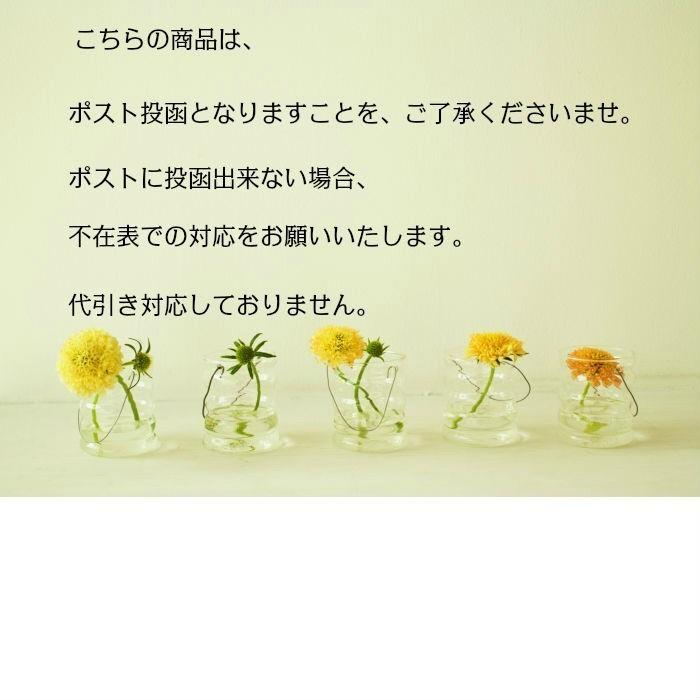 ダスキン スポンジ　３色セット抗菌タイプS 2パック（6個）真空包装　空気穴　納品書無し　定型外郵便 |  | 06