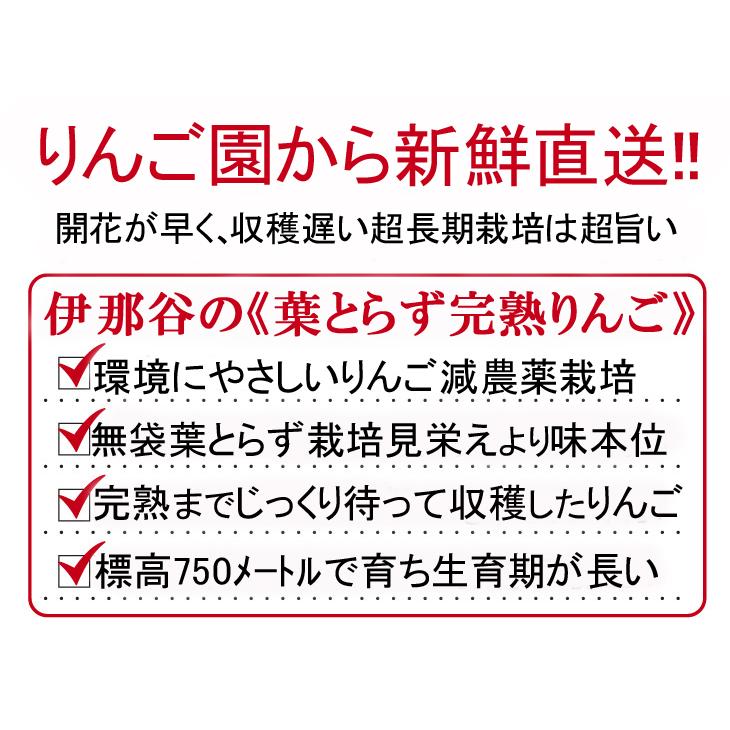 りんごジュース 6000mL:1Lx6本セット 長野 信州伊那谷 葉とらず 完熟 ふじ100% 減農薬栽培 無添加 果肉たっぷり自然の恵みそのまま！ |  | 03