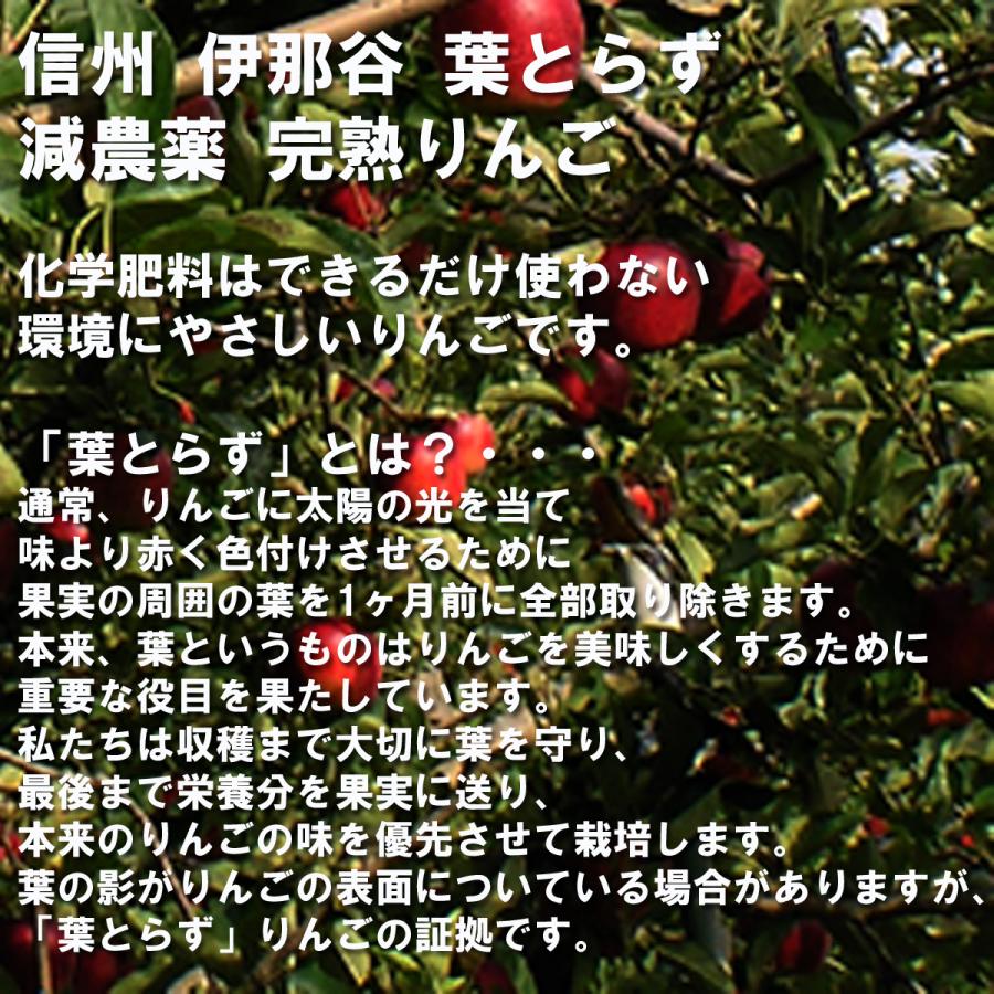 りんごジュース 6000mL:1Lx6本セット 長野 信州伊那谷 葉とらず 完熟 ふじ100% 減農薬栽培 無添加 果肉たっぷり自然の恵みそのまま！ |  | 04