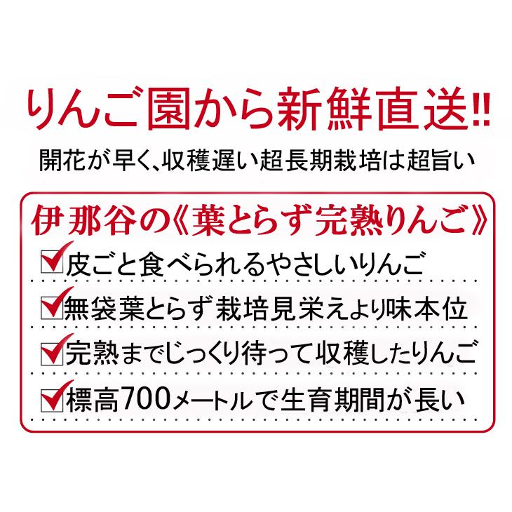 りんごジュース 6000mL:1Lx6本セット 長野 信州伊那谷 葉とらず 完熟 ふじ100% はとらず栽培 無添加 果肉たっぷり自然の恵みそのまま！ |  | 03