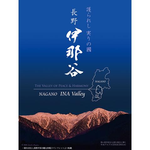 りんごジュース 6000mL:1Lx6本セット 長野 信州伊那谷 葉とらず 完熟 ふじ100% 減農薬栽培 無添加 果肉たっぷり自然の恵みそのまま！ |  | 06