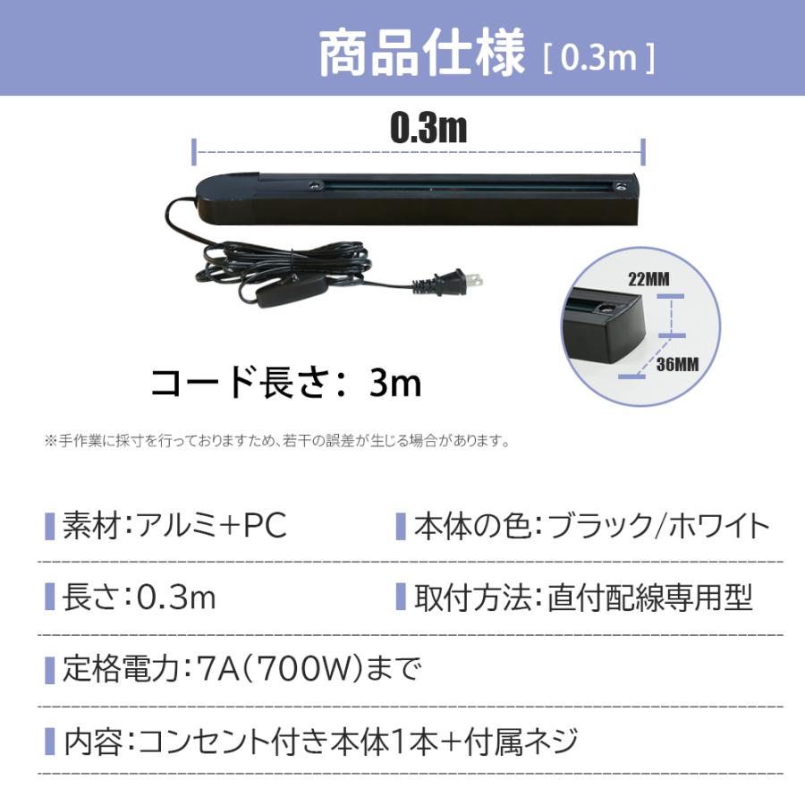 ダクトレール用ペンダントライトセット LED電球2個付 0.3m