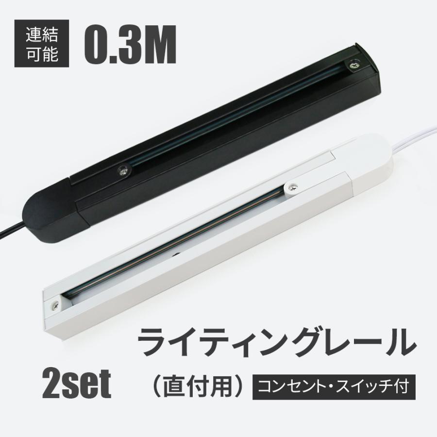 ダクトレール 30cm 2本 ライティングレール コンセント 押しボタン