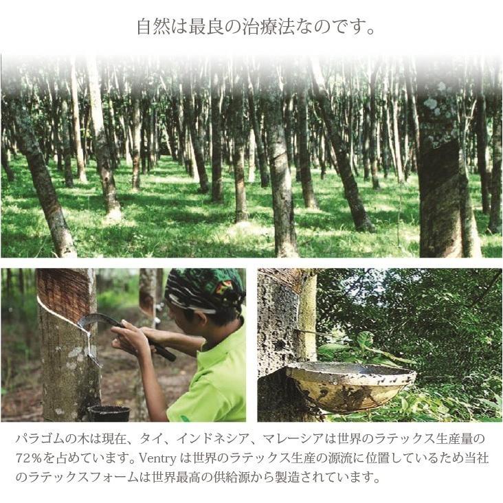 新品登場【高反発ラテックス枕】ライオン 防ダニ 防カビ 抗菌 まくら 枕 寝返り Ventry 子供用 首痛 肩こり 通気性 耐久性 エコ ドールピロー ぬいぐるみ |  | 03