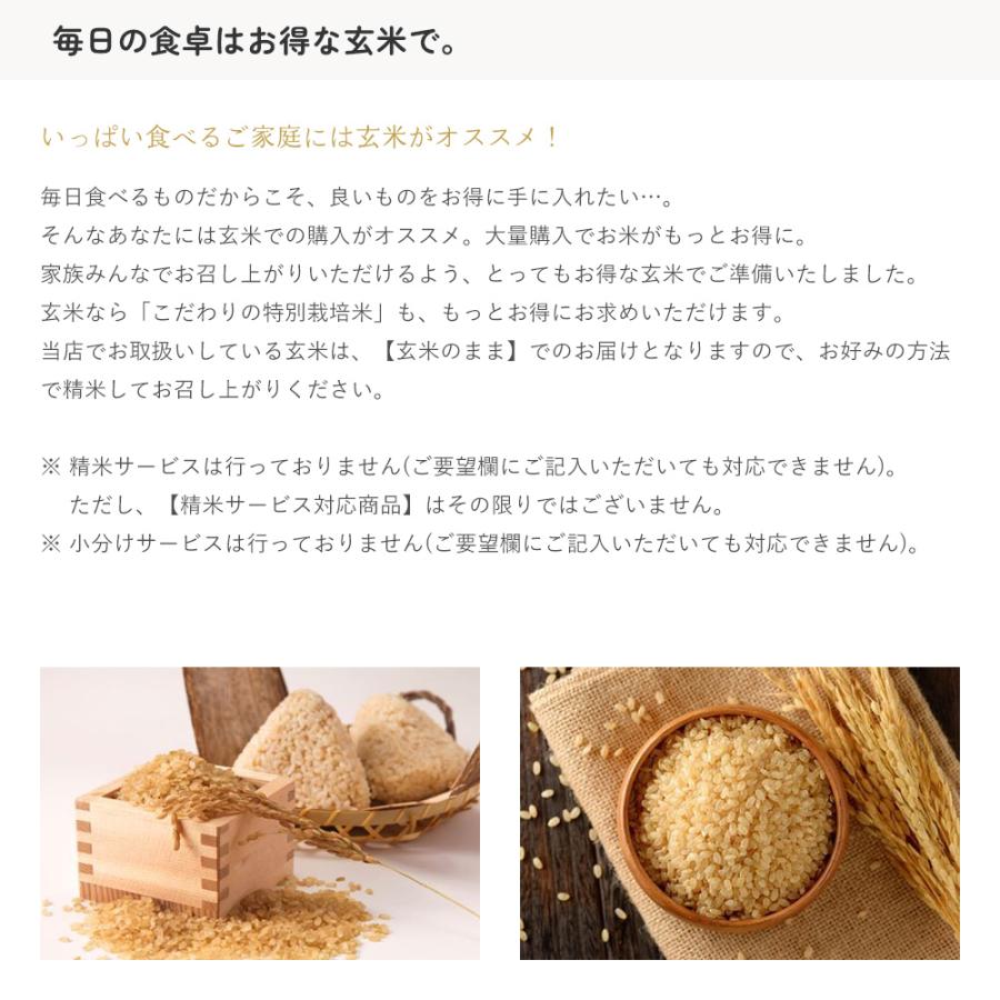 あきたこまち 一等米玄米 30kg 秋田県産 令和6年産 : 伊達の あきたこまち 一等米玄米 30kg 秋田県産 令和6年産 : 伊達の