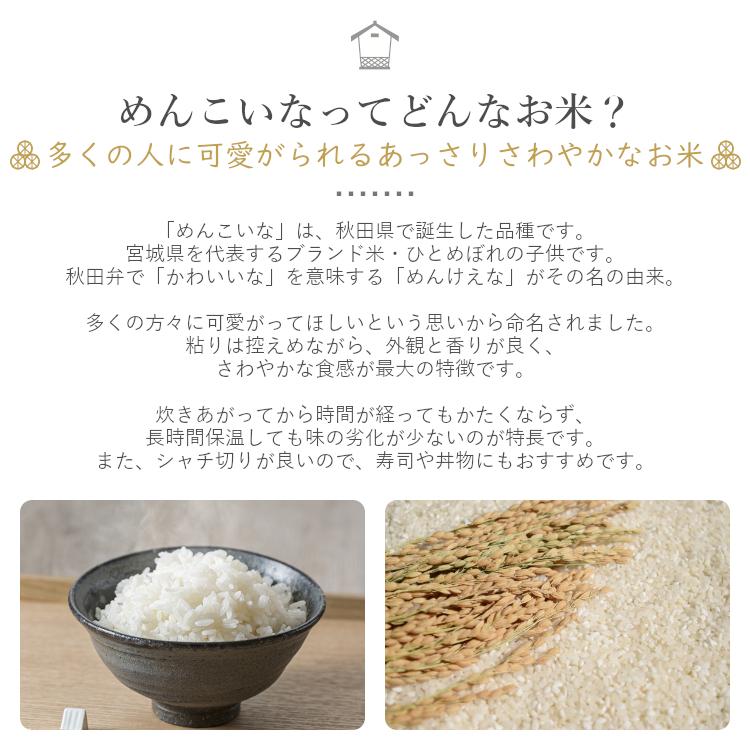 めんこいな 10kg 秋田県産 令和2年産 Dk Ams 10k 伊達の蔵出し本舗 お米の匠 通販 Yahoo ショッピング