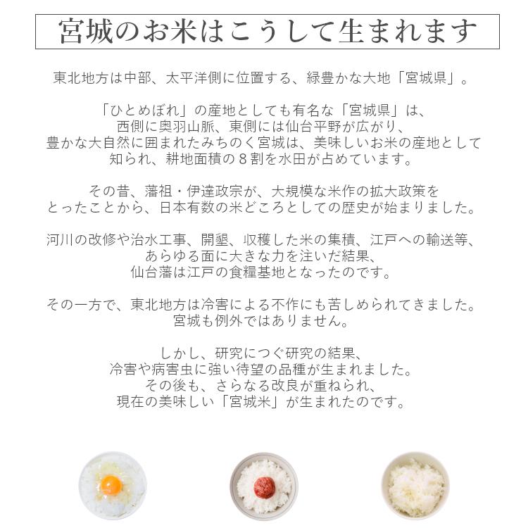 だて正夢 一等米玄米 30kg 宮城県産 令和2年産 Dk Mdmg 30k 伊達の蔵出し本舗 お米の匠 通販 Yahoo ショッピング