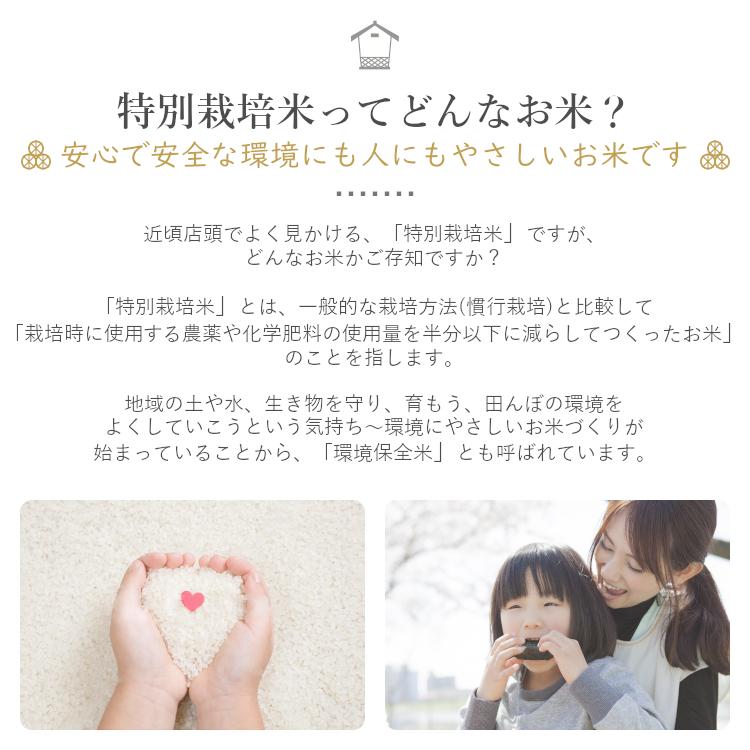 宮城県 大崎市の通信制高校 サポート校一覧