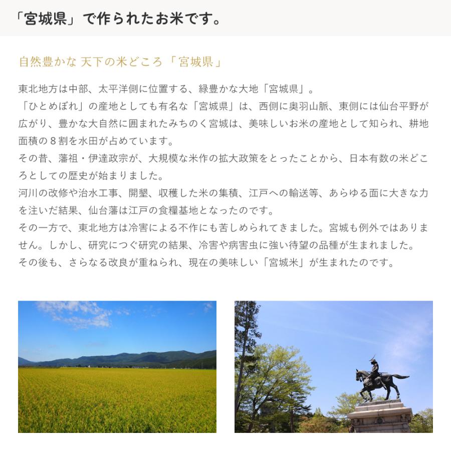 ササニシキ 無洗米 5kg 宮城県産 令和6年産 : 伊達の蔵出し本舗 ササニシキ 無洗米 5kg 宮城県産 令和6年産 : 伊達の蔵出し本舗