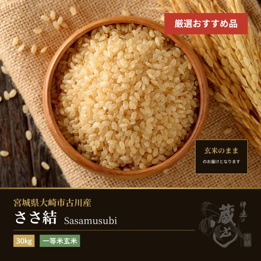 引取限定 新米令和6年産東北194号(ささ結)玄米30Kg 【公式通販】