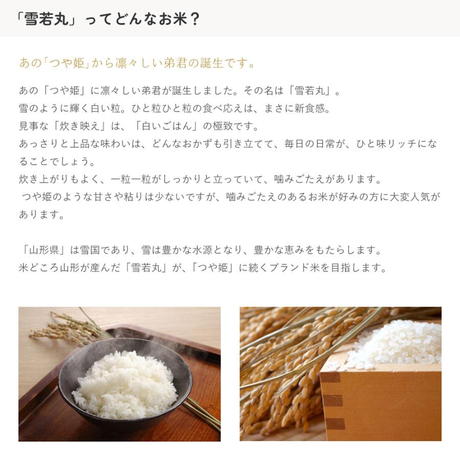 売れてます ポケモン フィギュア フルカラーコレクション 金 銀