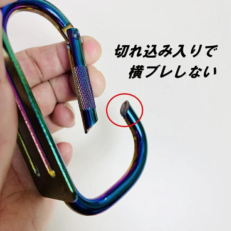 AURORA オーロラシリーズ 工具差し カラビナ AR-LSS カラビナ大 Lサイズ 2穴タイプ スチール製 工具ホルダー ツールバンク HOOKS フックス |  | 02