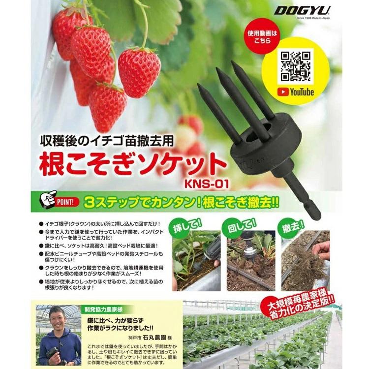 土牛 イチゴ収穫 インパクトドライバー用 根こそぎソケット KNS-01 収穫後のイチゴ苗撤去 イチゴ農家 | DOGYU | 01