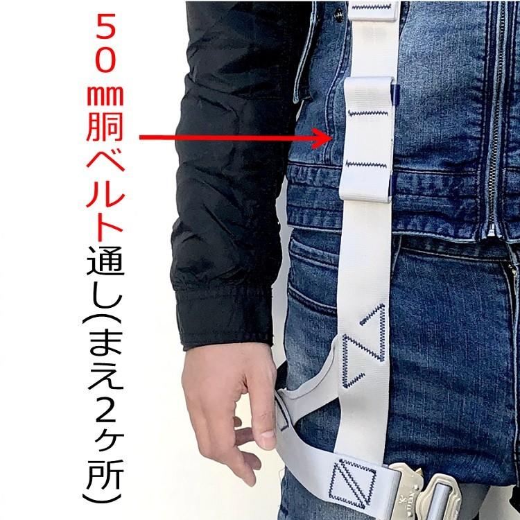 タイタン 新規格 フルハーネス サンコー PAHN-10A-SI Lサイズ PANGAEA