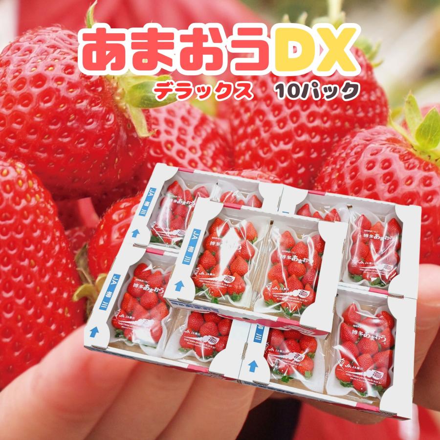 福岡産 博多 ”あまおういちご” 等級DX（デラックス） 5箱 10パック入り（1パック約270g） 大粒 苺 strawberry | 