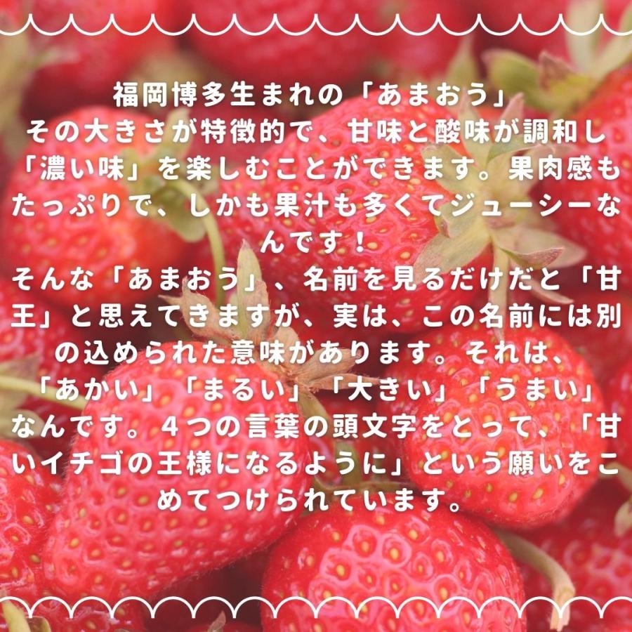 福岡産 博多 ”あまおういちご” 等級DX（デラックス） 5箱 10パック入り（1パック約270g） 大粒 苺 strawberry |  | 04