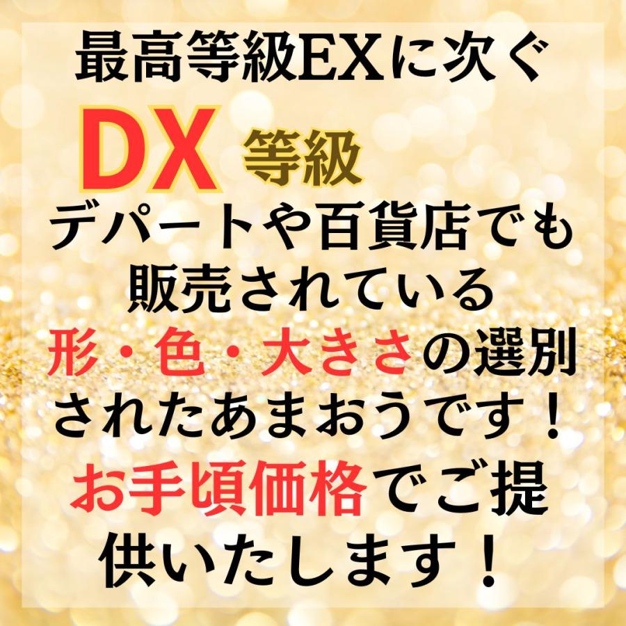 福岡産 博多 ”あまおういちご” 等級DX（デラックス） 5箱 10パック入り（1パック約270g） 大粒 苺 strawberry |  | 05